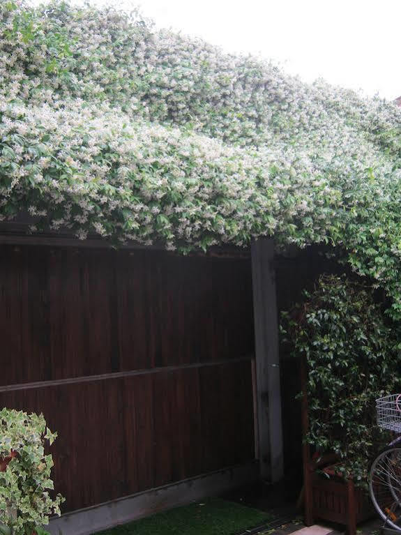 Bed and Breakfast Casa Di Carlo Goldoni - Dimora Storica Chioggia Exterior foto